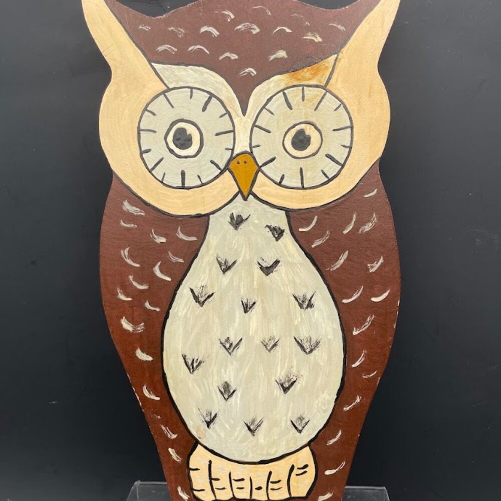 Hand Painted Wood Owl Plaque Signed W Pass 1987 Brown Grey Vintage Hoot Owl